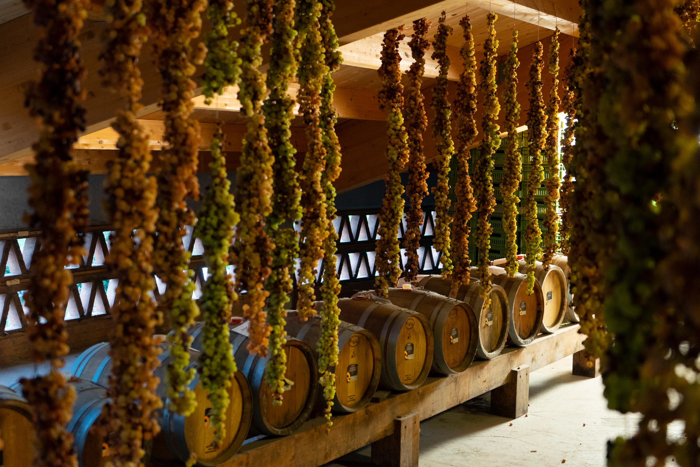Appassimento delle uve - Cantina Dal Maso